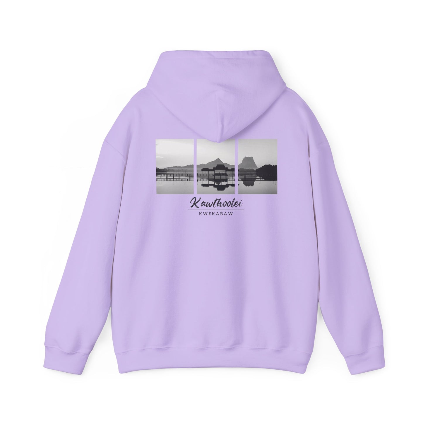 Unisex Heavy Blend™ Hooded Sweatshirt